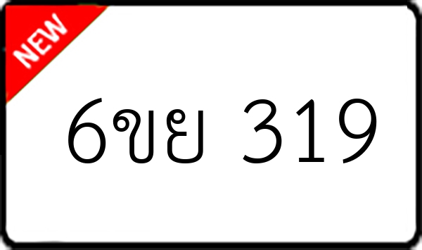 6ขย 319